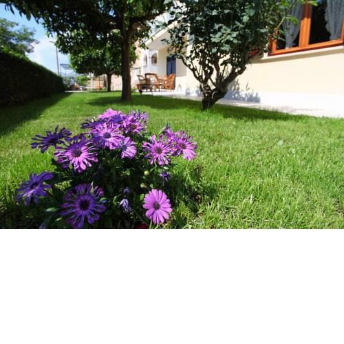 Antares Apartments