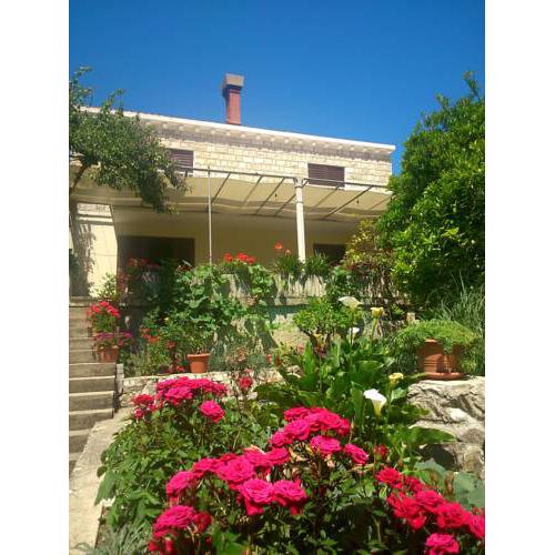 Antun Mozara Family House