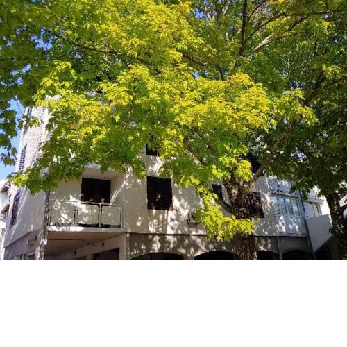 Apartma Park Učka