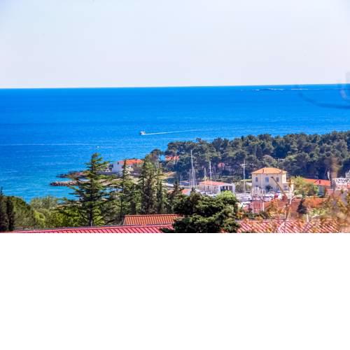 Apartman - The view
