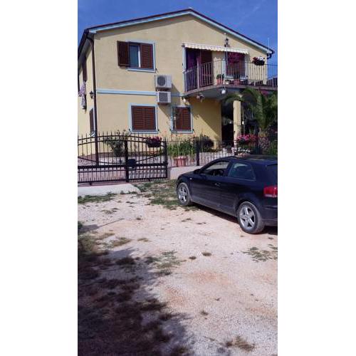 Apartman 1