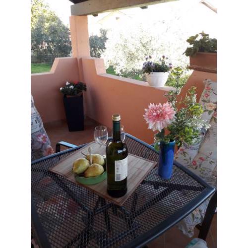 Apartman Amfiteatar