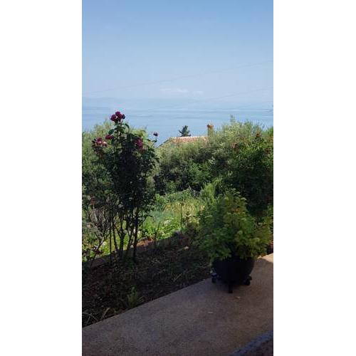 APARTMAN ANA