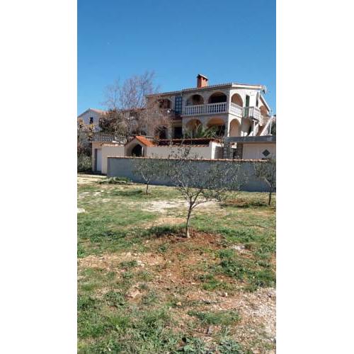 Apartman Ankica