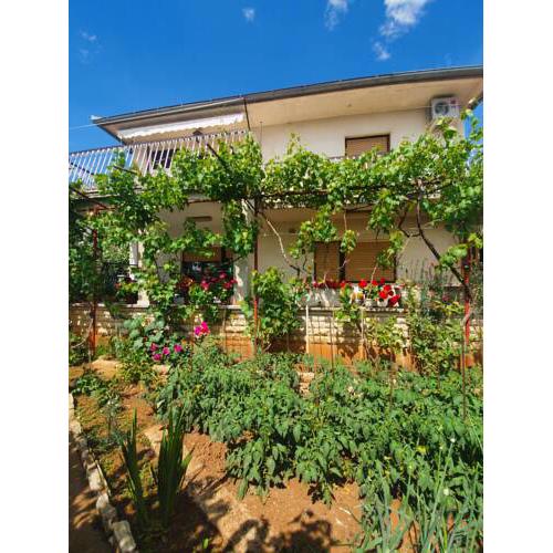 Apartman Antonija