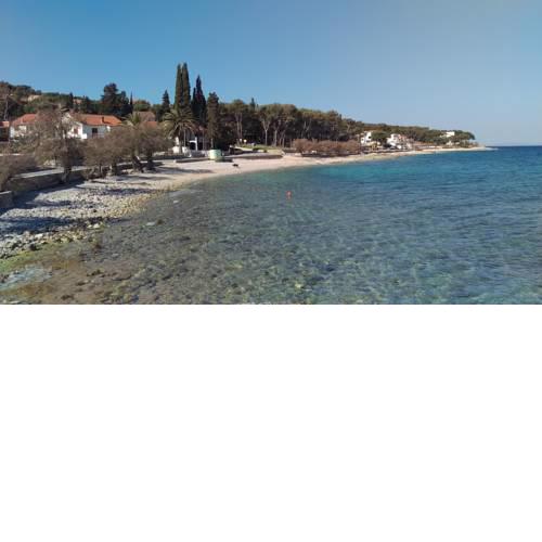 Apartman Dalmatino