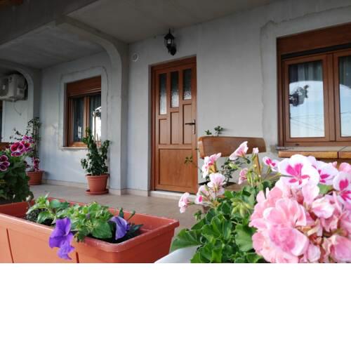 Apartman DM