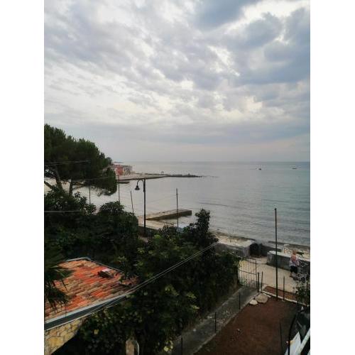 Apartman Dora