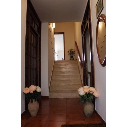 Apartman Elena