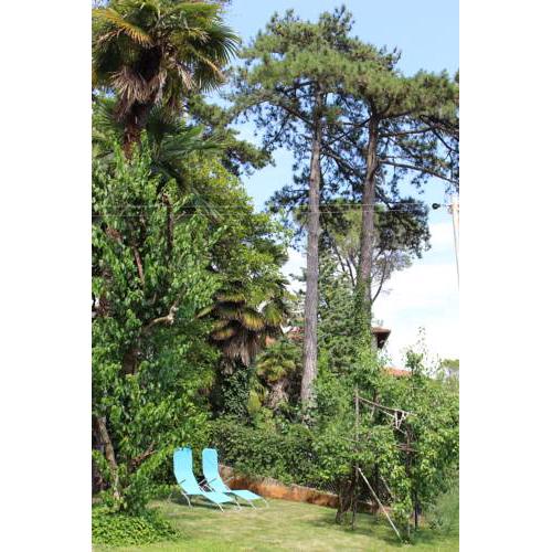 Apartman Eti