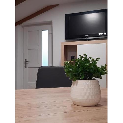 Apartman Eva