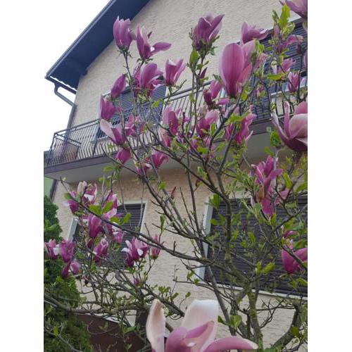 Apartman Grlice