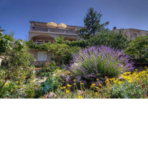 Apartman Iva