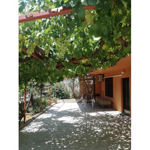 Apartman Iva