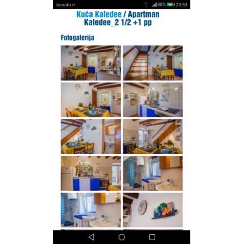 Apartman Kaledee
