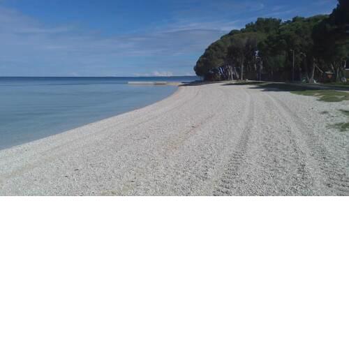 Apartman Karlo