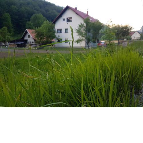 Apartman Lelly