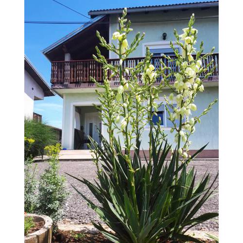 Apartman Lena