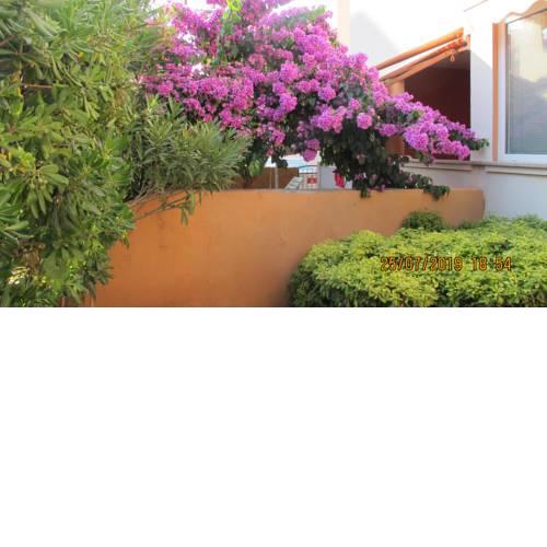 Apartman LOTA