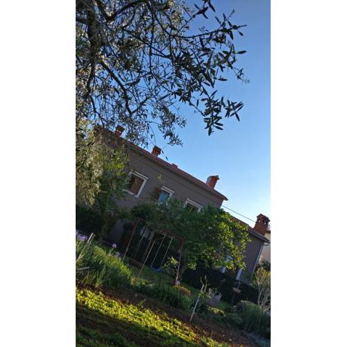 Apartman Lovor