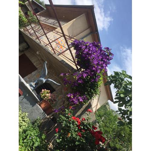Apartman Martina