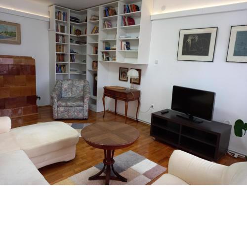 Apartman Mislav. Udoban apartman u centru grada.