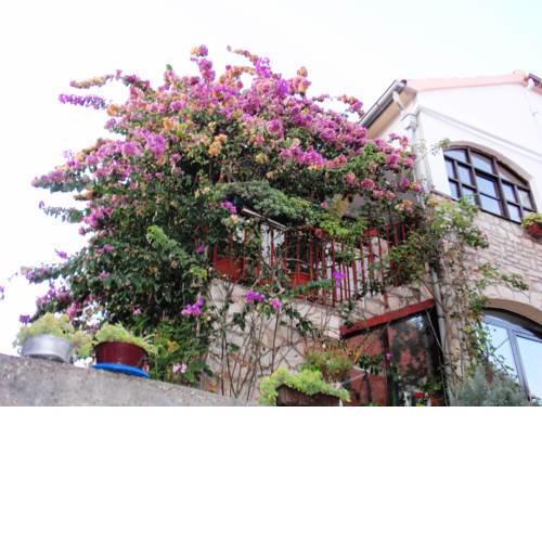 Apartman Nada