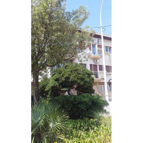 Apartman Nona