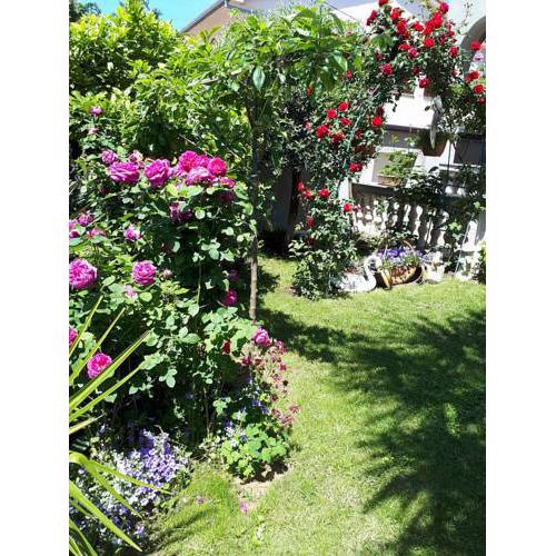Apartman Palma