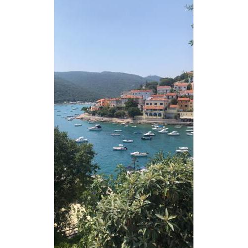 Apartman Paola