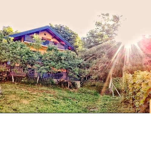 Apartman Potocki
