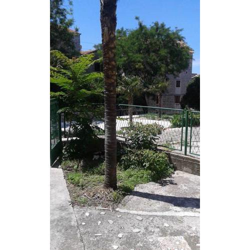 Apartman Rojnica