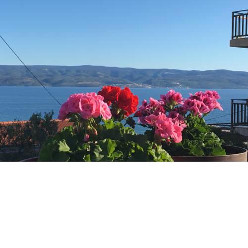 Apartman s terasom