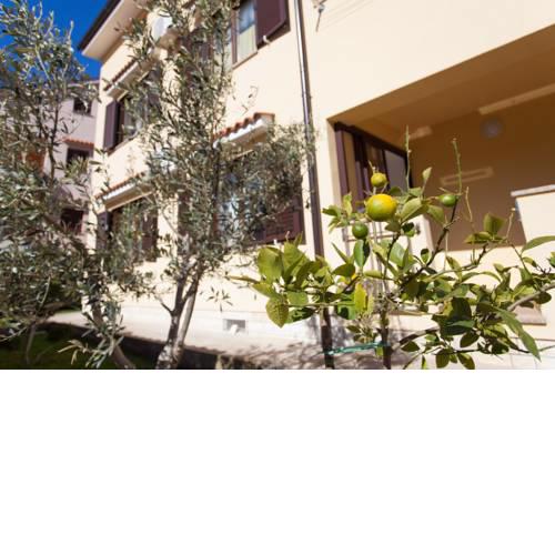 Apartman Sintić