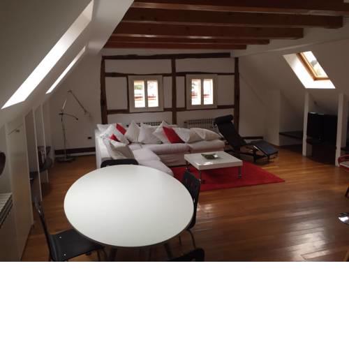 Apartman studio Radiceva
