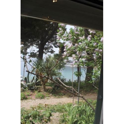 Apartman Tafra