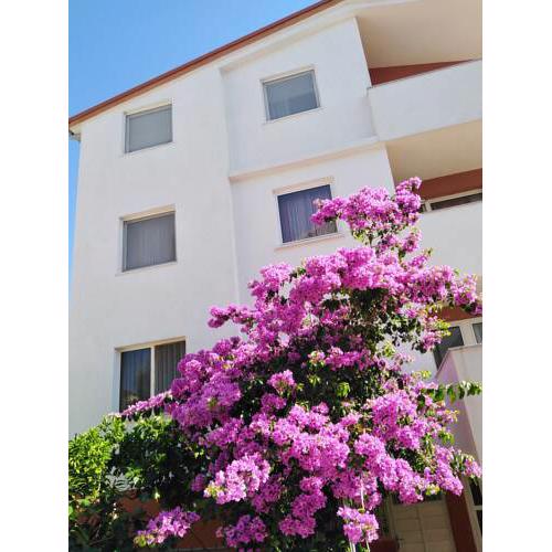 APARTMAN VLADO