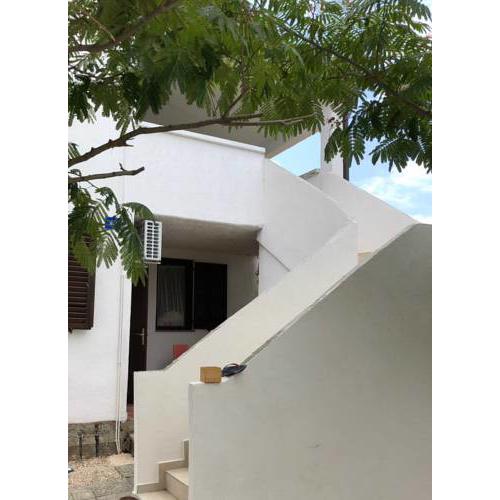 Apartman Židak