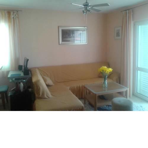 Apartman zoki i Goga