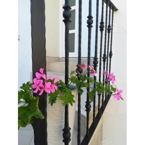 Apartman Žulić