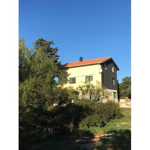 APARTMAN ŽUŽI Otok Silba Hrvatska