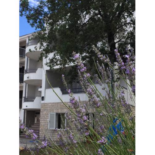 Apartmani Ana