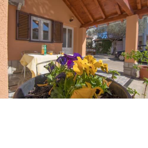 Apartmani Bistričić