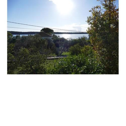 Apartmani Božica