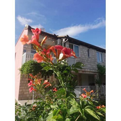 Apartmani Danica