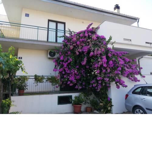 Apartmani Danica