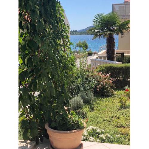 Apartmani Draga