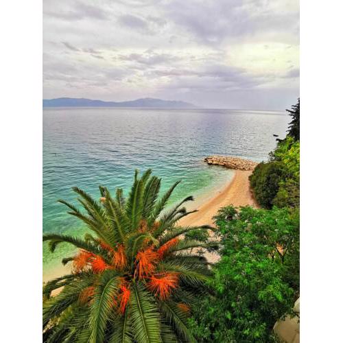 Apartmani Elena i Branko