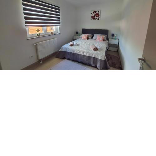Apartmani Fenestra Tesla i Faust
