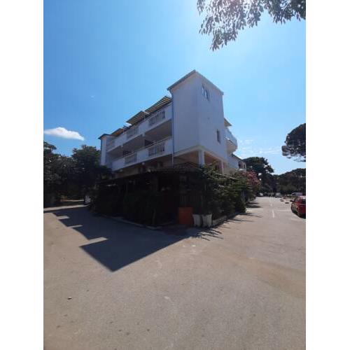 Apartmani fikus